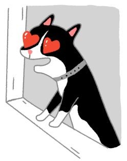 【喵喵冷知識】原來母貓沒月經？其實牠們是這樣轉大人的（圖／毛起來 MaoUp）