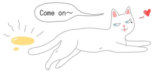 【喵喵冷知識】原來母貓沒月經？其實牠們是這樣轉大人的（圖／毛起來 MaoUp）