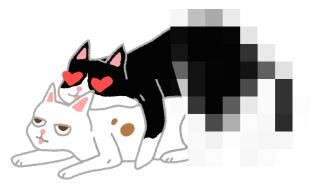 【喵喵冷知識】原來母貓沒月經？其實牠們是這樣轉大人的（圖／毛起來 MaoUp）