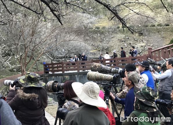 ▲▼大砲級攝影機鏡頭在公園排排站。（圖／鄭志成小隊長提供）