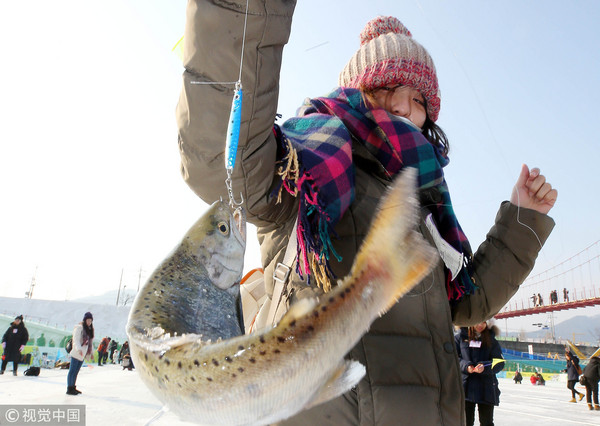 ▲▼華川山川魚慶典。（圖／CFP）