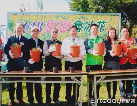 ▲桃園舉行戀戀魯冰花到龍潭尋花找茶，體驗茶鄉美好 。（圖／桃園市政府提供）