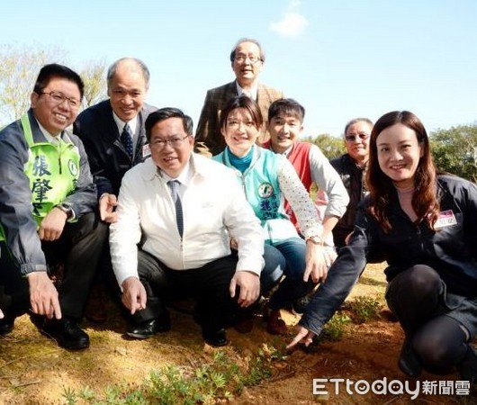 ▲▼鄭文燦市長帶領下種植一株株的魯冰花。（圖／桃園市政府提供）