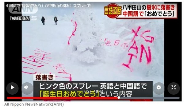 ▲闖禍旅客用粉紅噴漆寫下中文「生日快樂」等字。（圖／翻攝自All Nippon NewsNetwork（ANN））