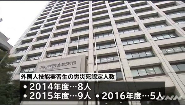 日媒TBS報導，日本的外國籍技能實習生勞災死亡的比例，是日本全體勞災死亡比例的兩倍。(圖／翻攝自TBS NEWS)