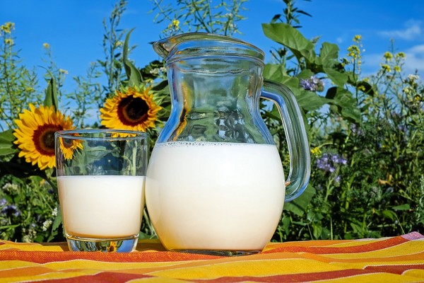 ▲選用低脂牛奶，避免過多脂肪。