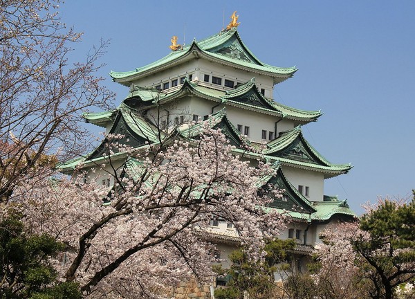 ▲【百花染春】當繁花旖旎，就掬一把花雨～日本賞櫻、紫藤、芝櫻一次滿足。（圖／Shutterstock.com提供）