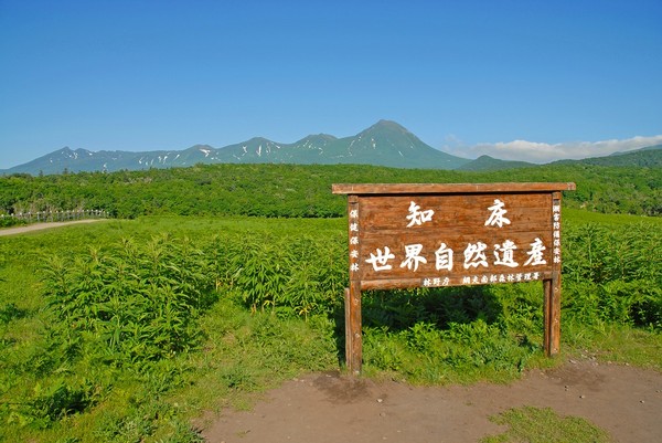 ▲東北海道周遊巴士之旅　拜訪東北海道最美的風景。（圖／Shutterstock.com提供）