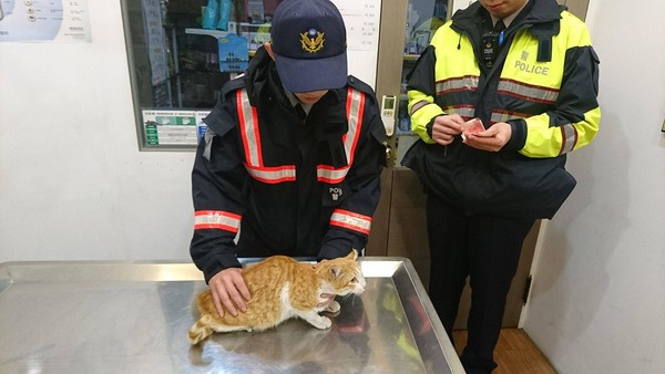 實習警救貓。（圖／翻攝自雲林縣警察局 斗南分局）