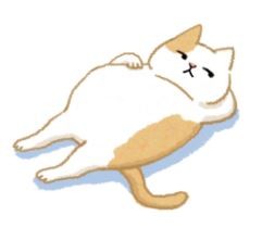 【汪喵疾病飲食】貓咪不吃不喝 小心脂肪肝（圖／毛起來 MaoUp）