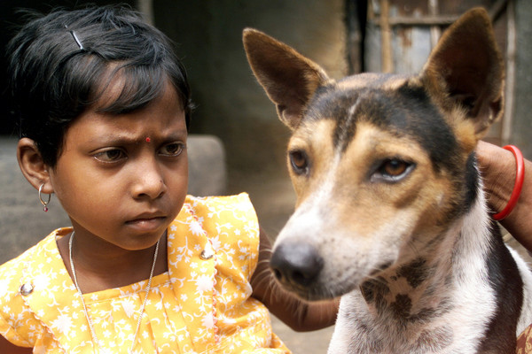 ▲▼印度傳統迷信，小女孩與狗結婚避免厄運。（圖／路透）