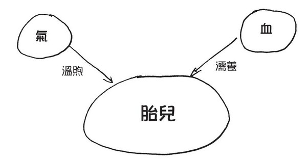 氣血差反而兩敗俱傷 先用2帖藥調體質