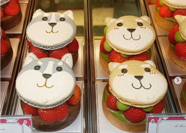 ▲台南蘇格蕾法式甜點一月推出柴犬和哈士奇草莓塔。（圖／網友提供，請勿隨意翻拍，以免侵權）