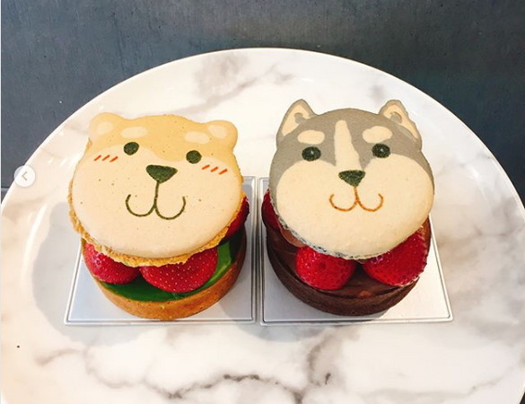 ▲台南蘇格蕾法式甜點一月推出柴犬和哈士奇草莓塔。（圖／網友提供，請勿隨意翻拍，以免侵權）