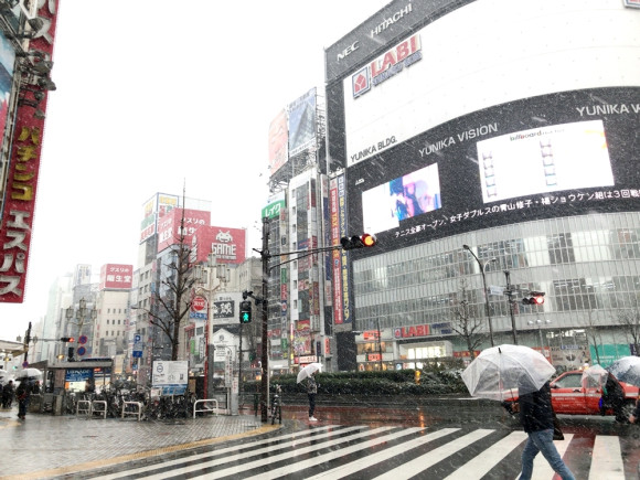 ▲▼東京下雪。（圖／翻攝自RocketNews24）