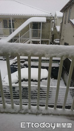 ▲▼2018/1/22東京多摩地區厚厚一層積雪。（圖／網友Lin授權提供）
