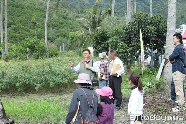 為推動台東地區特色作物有機栽培技術，農業委員會台東區農業改良場日前在大武鄉大鳥村辦理「樹豆不同播種期有機栽培示範觀摩會」，吸引對樹豆栽培有興趣的農友共92人前來參加。（圖／台東農改場提供）