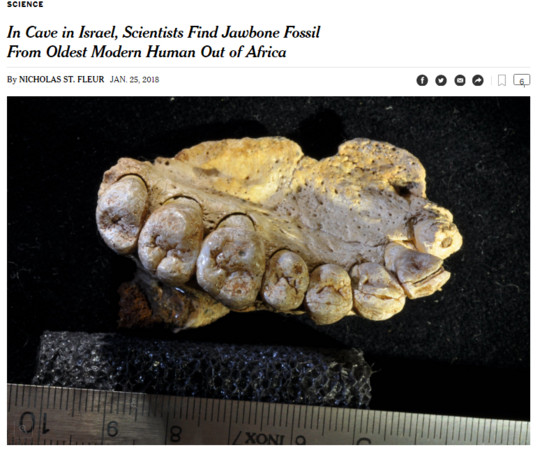 ▲▼發現新出土人類化石，可能證明現在人類比以往證實得更早移出非洲。（圖／翻攝自telegraph）