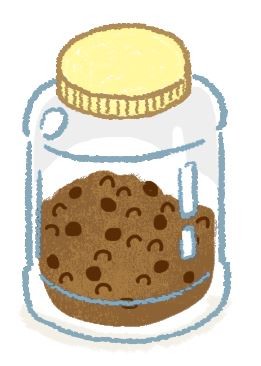 【汪喵餵養知識】開封飼料放哪兒？塑膠盒、不鏽鋼罐、玻璃罐比一比！