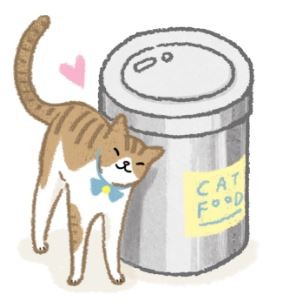 【汪喵餵養知識】開封飼料放哪兒？塑膠盒、不鏽鋼罐、玻璃罐比一比！