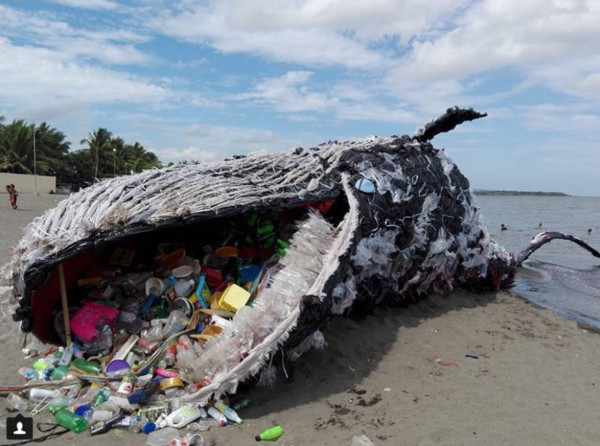 菲律賓綠色和平組織,鯨魚,裝置藝術（圖／翻攝自Instagram：@discoverocean）