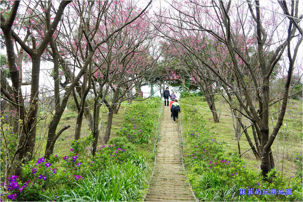 ▲新北土城太極嶺。（圖／蘇菲的玩樂地圖提供）