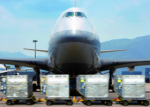 ▲▼香港國際機場貨運停機坪             。（圖／翻攝自香港國際機場官網）