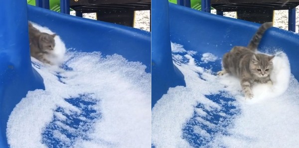 溜滑梯上都是冰！聖上無法煞車　咻～一聲甩尾噴下去（圖／翻攝自Instagram：milakot2907）
