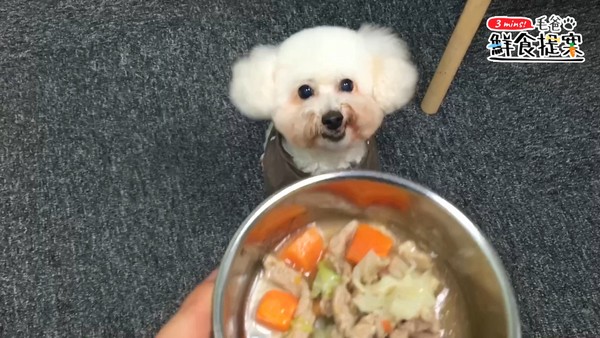 【毛爸鮮食提案】輕鬆上桌輕鬆煮，汪汪最愛的－蔬菜豬肉煮！（圖／毛起來 MaoUp）