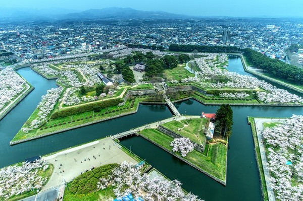 ▲日本北海道五稜郭公園。（圖／攝影者：Hales Suen, Flickr CC License）