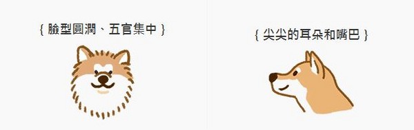 【汪汪小學堂】這隻柴柴怎麼那麼大隻？喂！人家是秋田啦！（圖／毛起來 MaoUp）