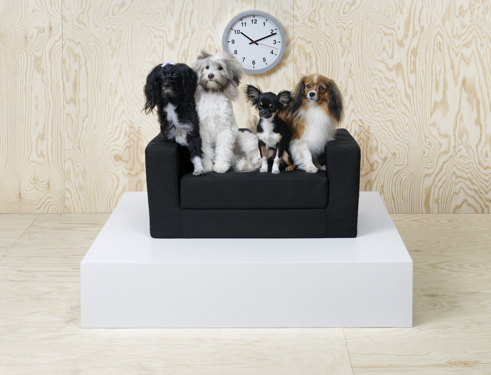 ▲IKEA旗下LURVIG寵物系列。（圖／IKEA提供）