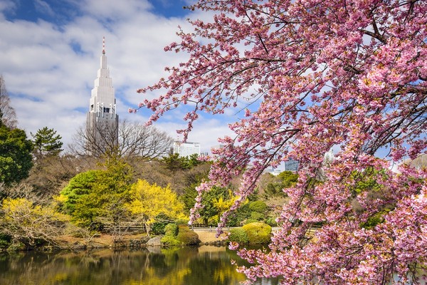 ▲享受粉紅色春天！網羅日韓台賞櫻勝地。（圖／五福旅遊、七逗旅遊網提供）