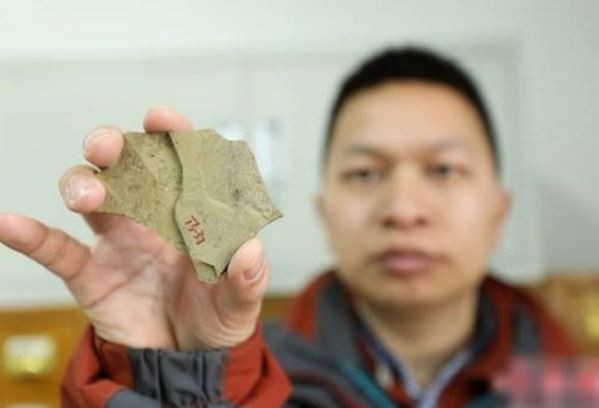 ▲▼專家在安徽壽縣的化石中，發現早期生物固氮作用的存在。（圖／中新網）