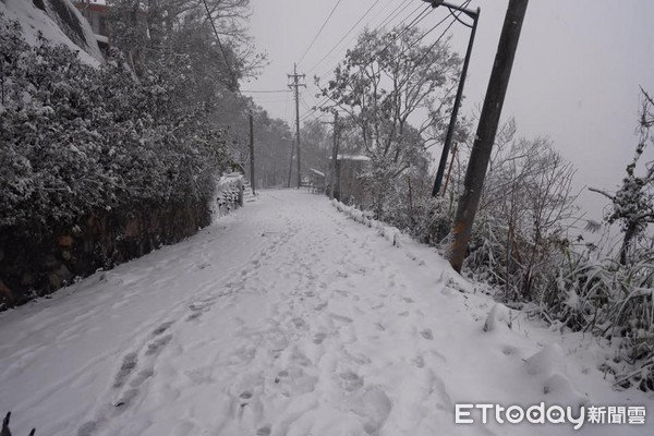 ▲▼2016年拉拉山神木風景下雪。（圖／網友Hu Sin提供）