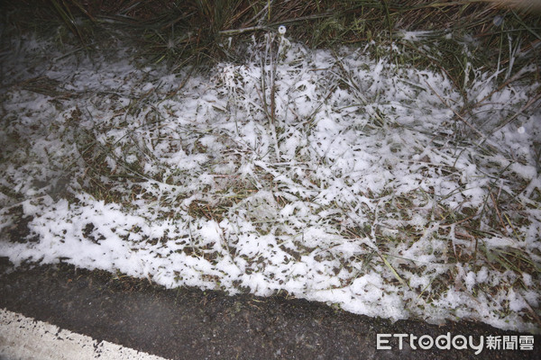 ▲▼陽明山下雪了。（圖／記者黃克翔攝）