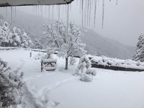 ▲太平山森林遊樂區目前雪況。（圖／太平山森林遊樂區賴俊仁提供）