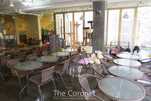 ▲▼韓國 首爾Meerkat Café 狐獴咖啡廳。（圖／The Coronet提供，請勿任意翻攝以免侵權）