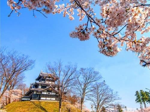 日本新潟三大夜櫻泡湯賞花4日旅遊（圖／翻攝自東森購物網）