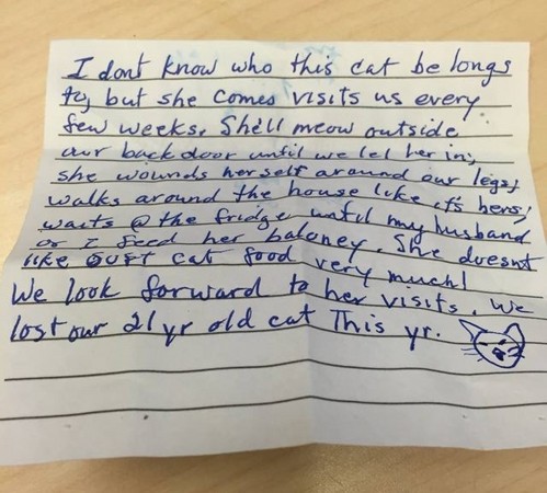 剛失去21歲老貓...陌生貓溫暖造訪　小紙條揭「超妙巧合」（圖／reddit @goldenstate30）