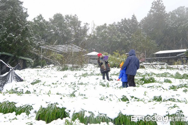 ▲烏來,烏來信賢里,烏來下雪▼             。（圖／記者徐文彬攝）