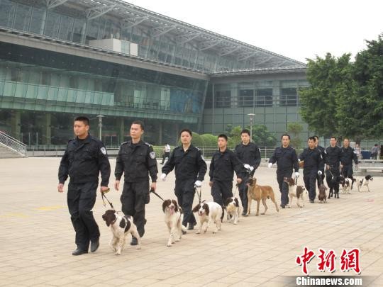 ▲▼廣東警犬在重大活動安保任務中發揮重要作用             。（圖／翻攝自中新網）