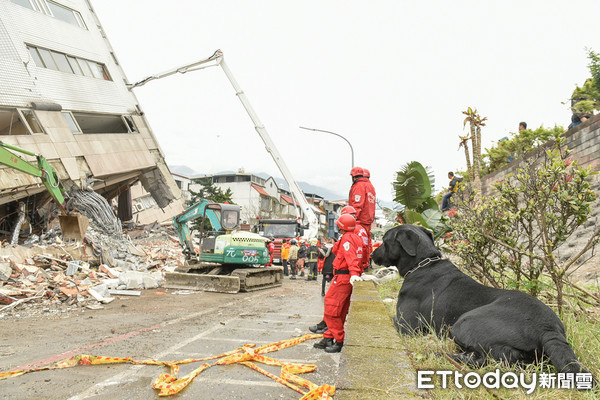 ▲▼206花蓮地震。搜救犬,搜救,救難（圖／記者張一中攝）