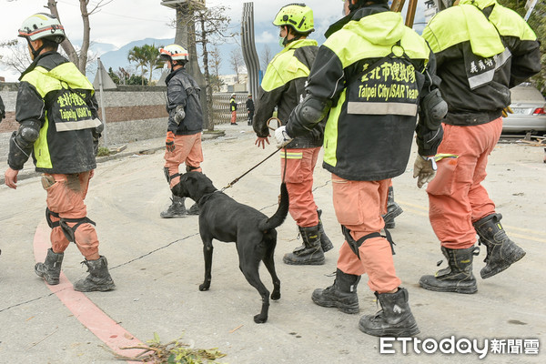 ▲▼206花蓮地震。搜救犬。（圖／記者張一中攝）