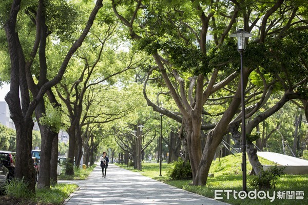 新竹綠園道。（圖／新竹市政府提供）