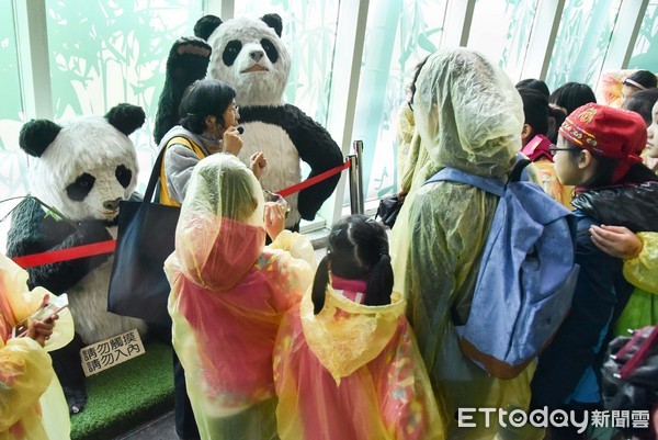 ▲▼兩岸小天使Day3。參觀木柵動物園（圖／記者李毓康攝）