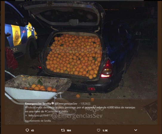 ▲▼ 白色小客車的後車門一打開，成堆的橘子立刻從車子內掉出來，把地板堆成了一個小山丘。（圖／翻攝自Emergencias Sevilla臉書）