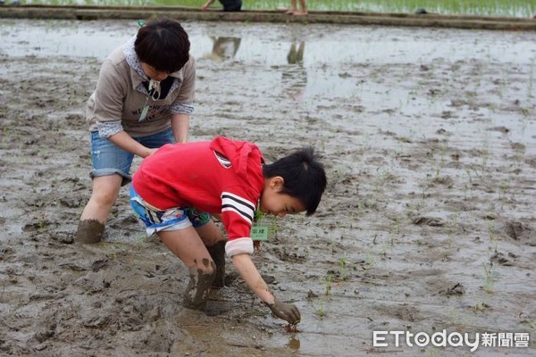 ▲種米也種一顆感恩土地的心　龍德米庄「自然農法」和生物共存。（圖／記者謝侑霖翻攝）