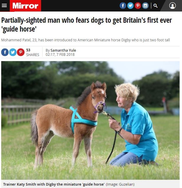 英國第一匹導盲馬！嬌小體型伴主人身旁　踏踏馬蹄提醒別跌倒（圖／截自mirror）