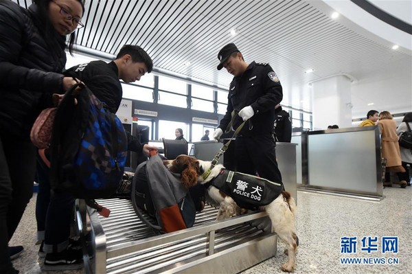 ▲▼重慶鐵路公安處警犬             。（圖／翻攝自新華網）